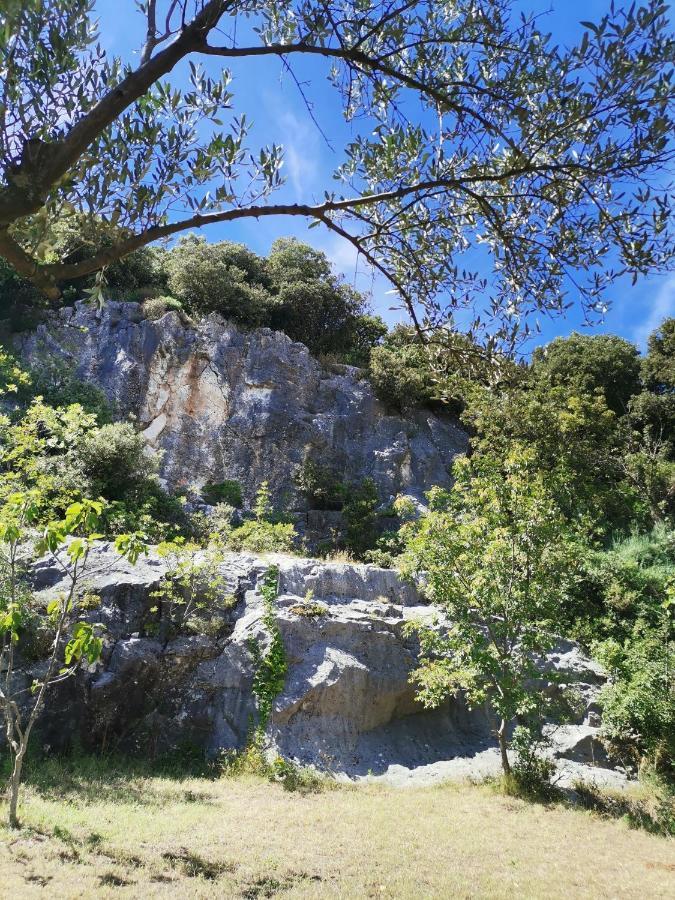 Cave With Free Parking Apartment Pula Exterior foto