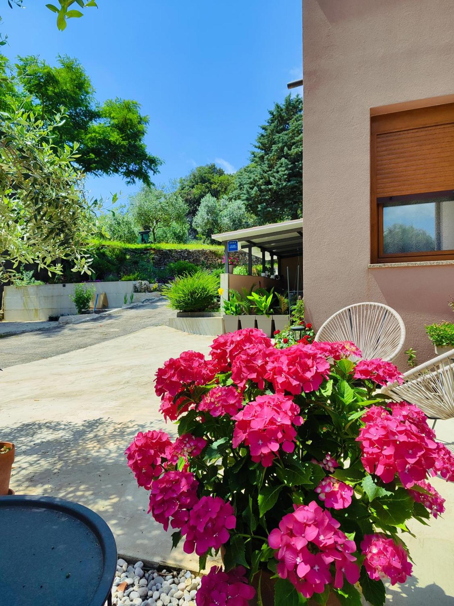 Cave With Free Parking Apartment Pula Exterior foto